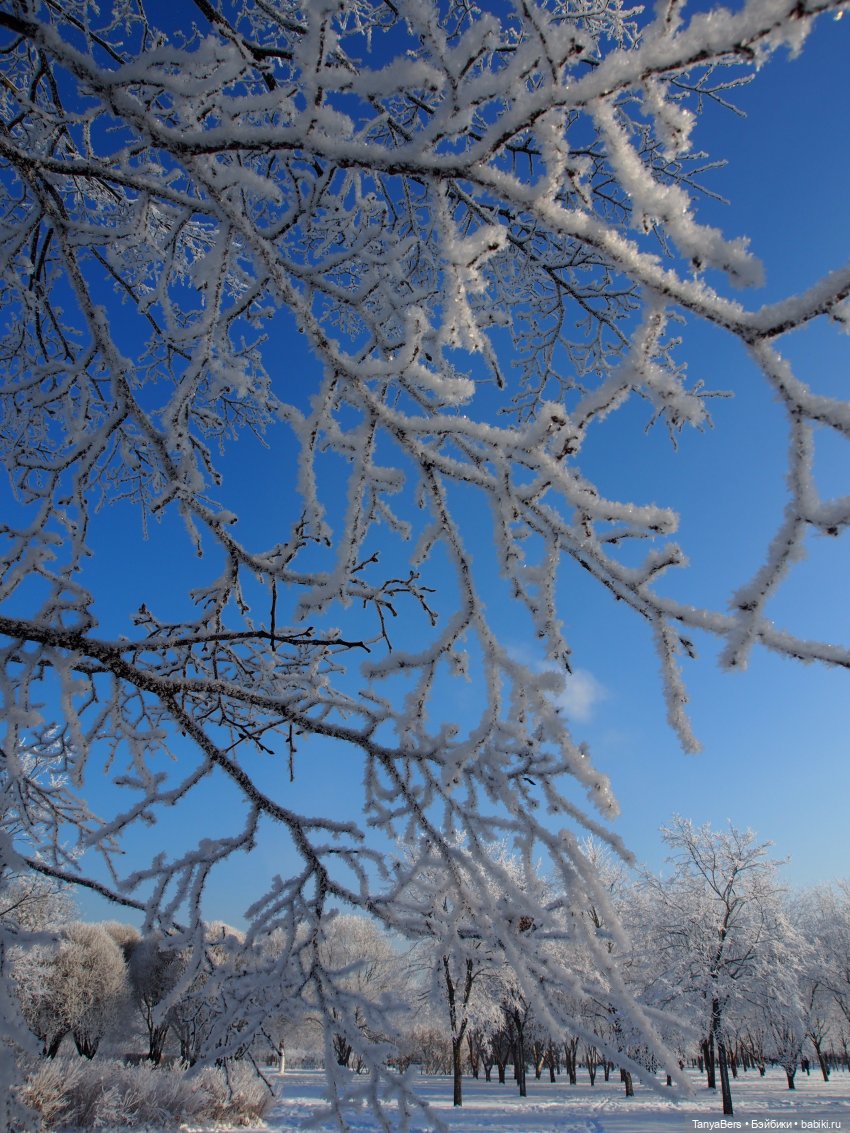 Пламя среди морозной стужи | Бэйбики Пламя среди морозной стужи