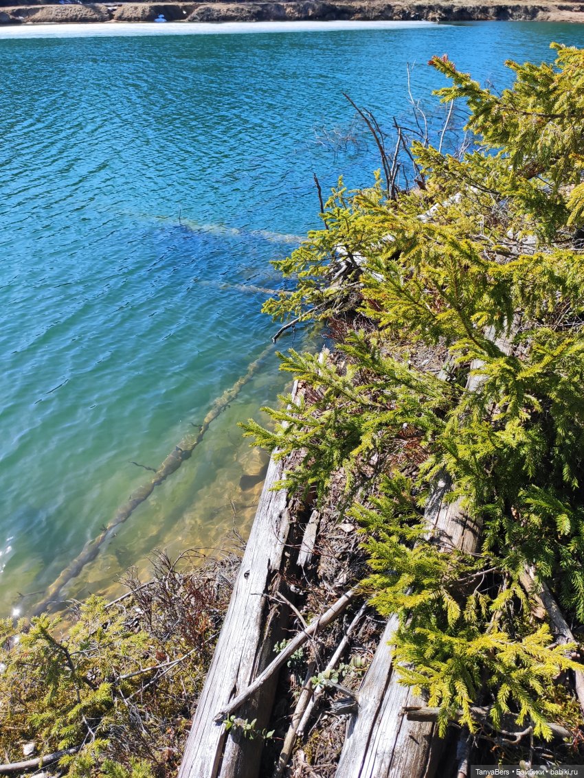 Как мы с небом играли — Куклы Luts (Лутс): корейские BJD (БЖД) (фото 2)