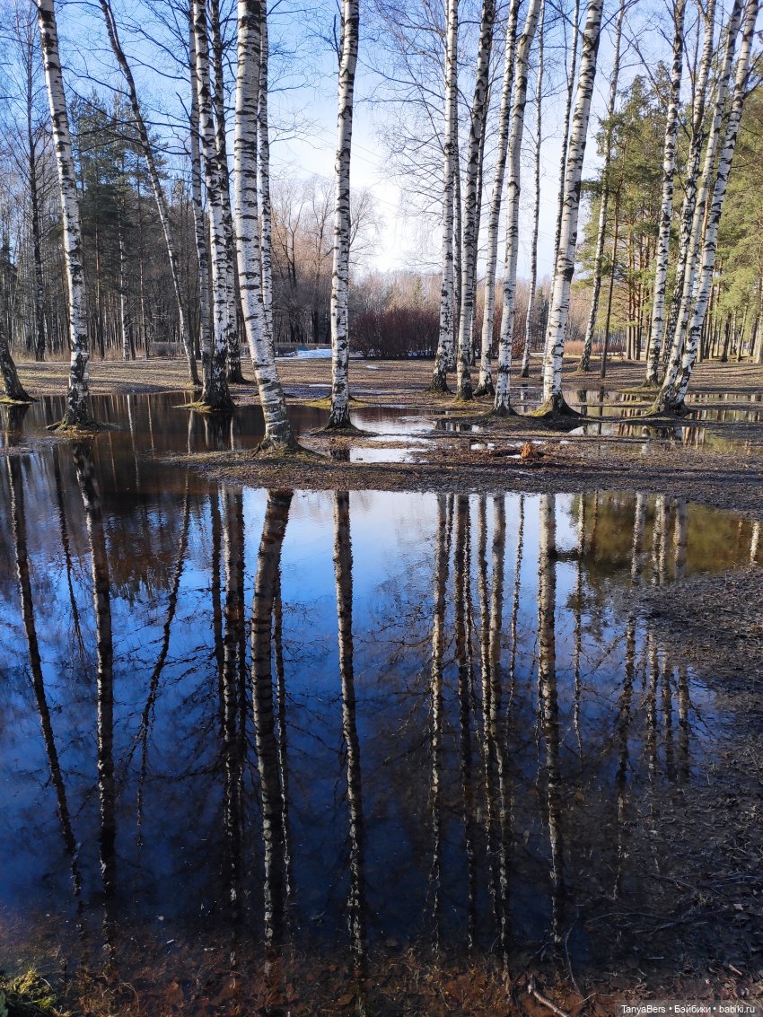 Как мы с небом играли — Куклы Luts (Лутс): корейские BJD (БЖД) (фото 4)