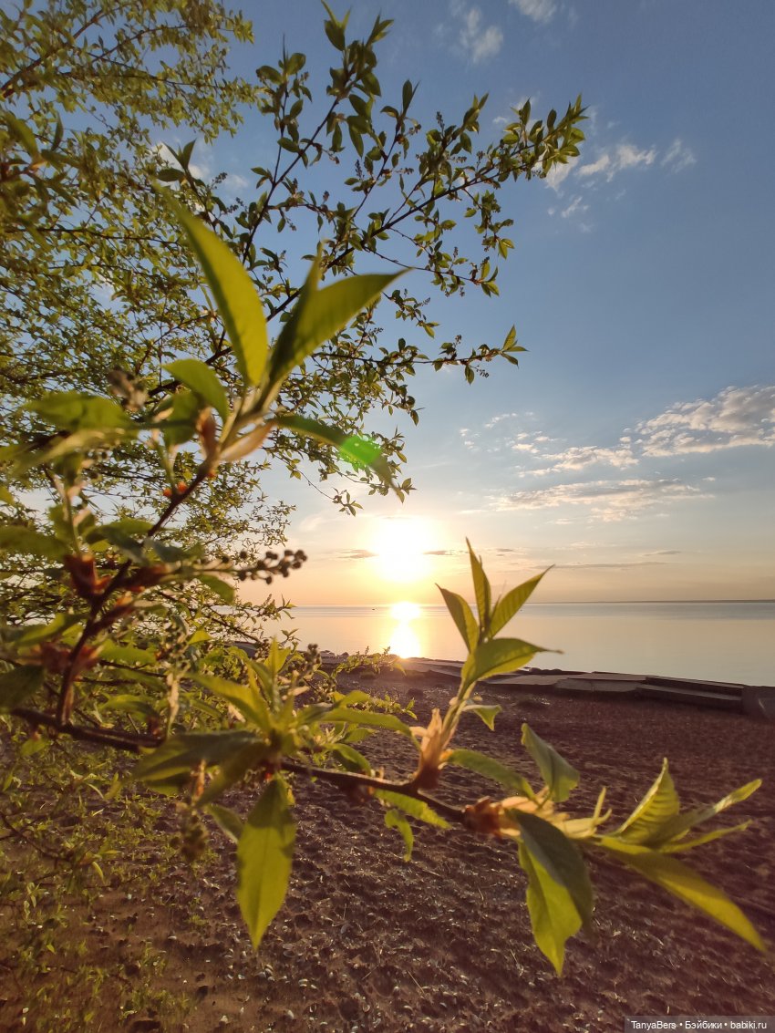 Как сбываются мечты — Домашние фото авторских игрушек: Тедди