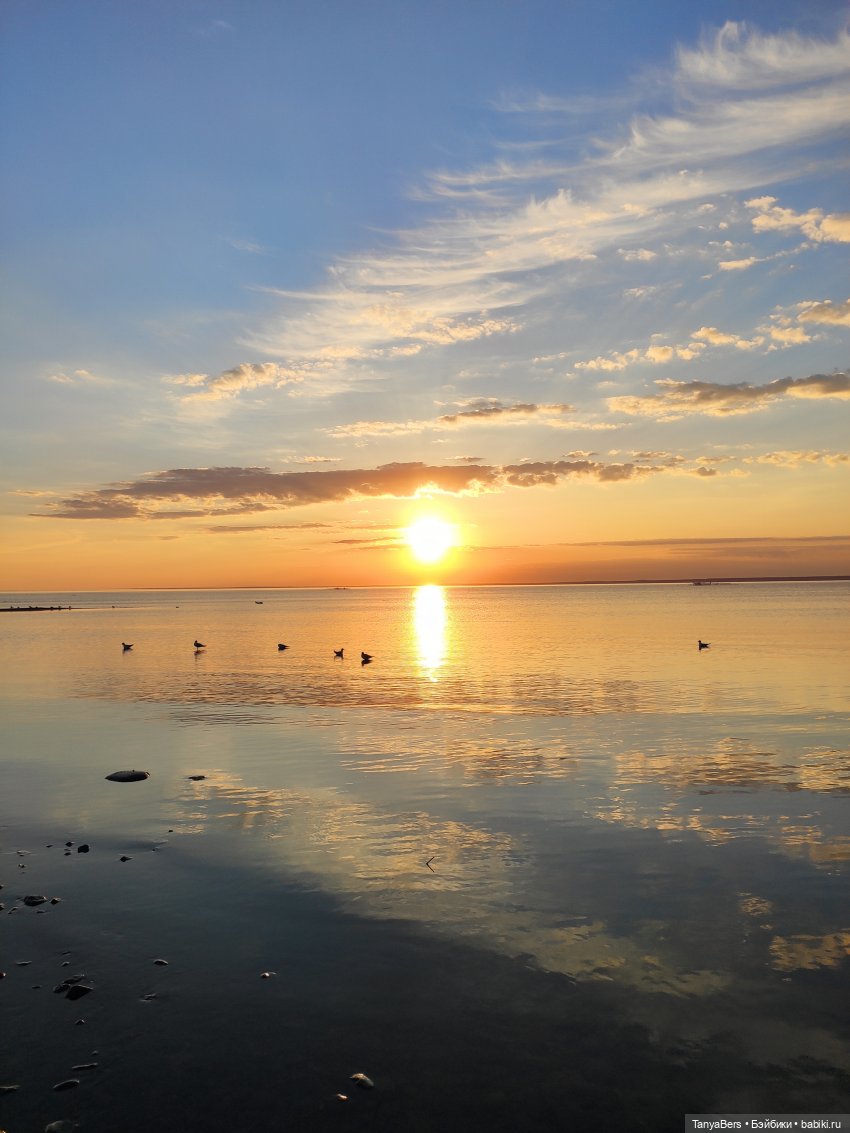 Как сбываются мечты — Домашние фото авторских игрушек: Тедди