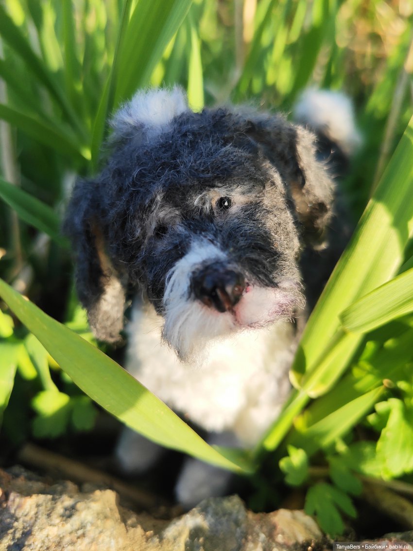 Как сбываются мечты — Домашние фото авторских игрушек: Тедди (фото 2)