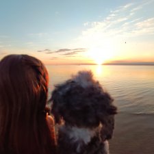 Как сбываются мечты