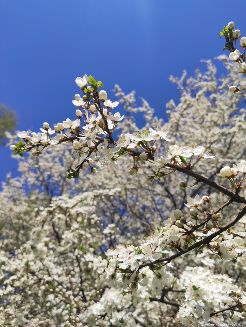 На свидание с любимым городом