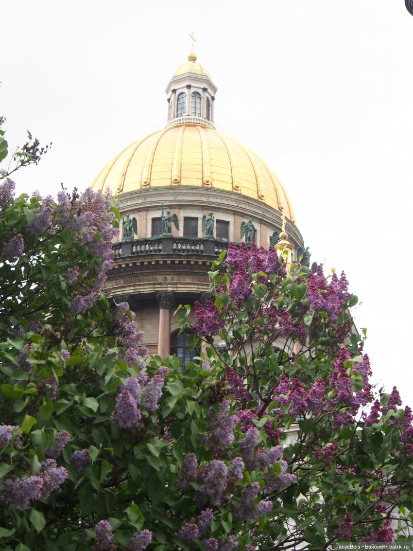 На свидание с любимым городом