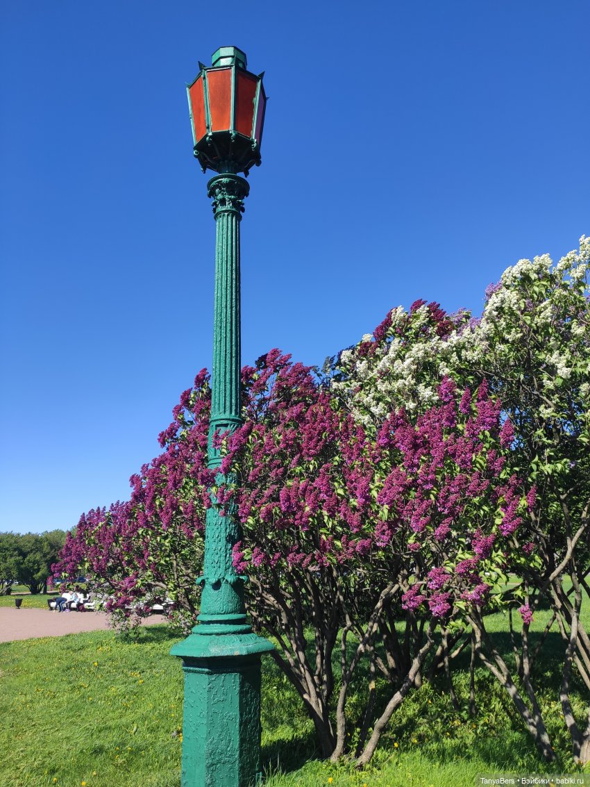 На свидание с любимым городом