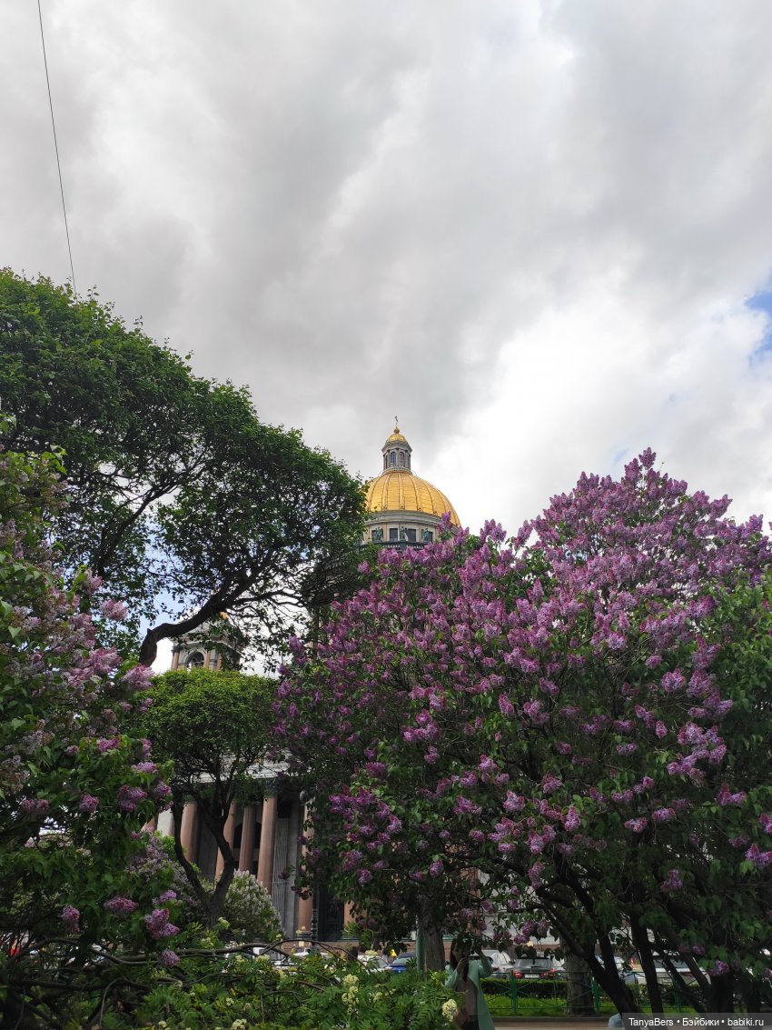 На свидание с любимым городом