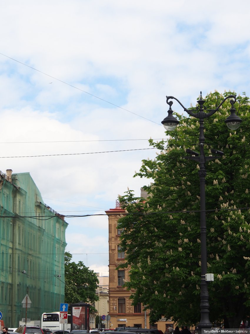 На свидание с любимым городом (фото 10)