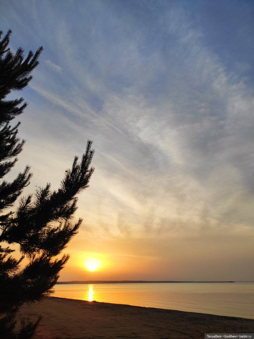 Я его поймала — Домашние фото авторских игрушек: Тедди