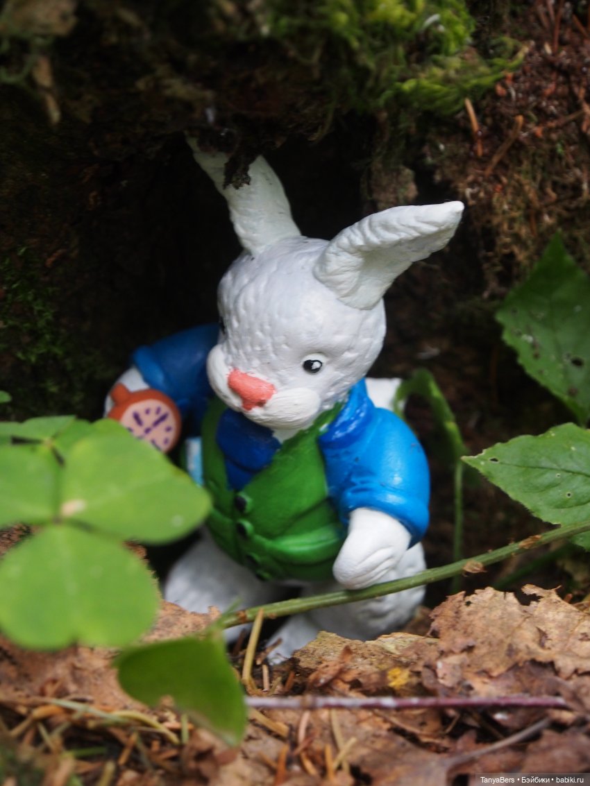 "Алиса в стране чудес". АВГУСТФЕСТ 2021 (фото 8)