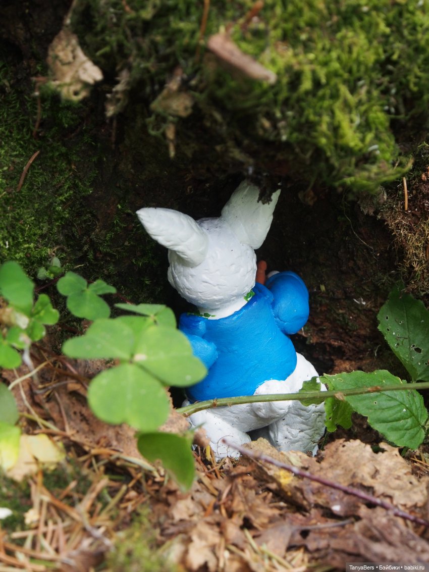 "Алиса в стране чудес". АВГУСТФЕСТ 2021 (фото 9)