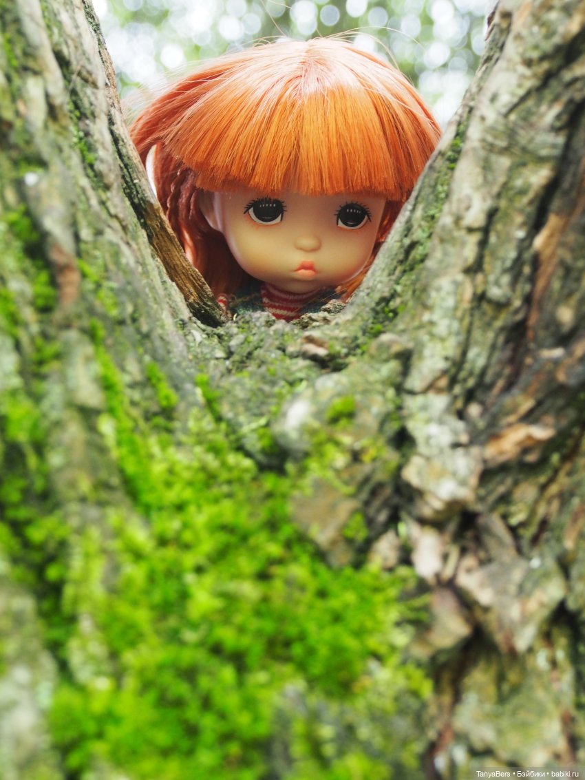 Остатки лета вместе с Булочкой с корицей (фото 5)