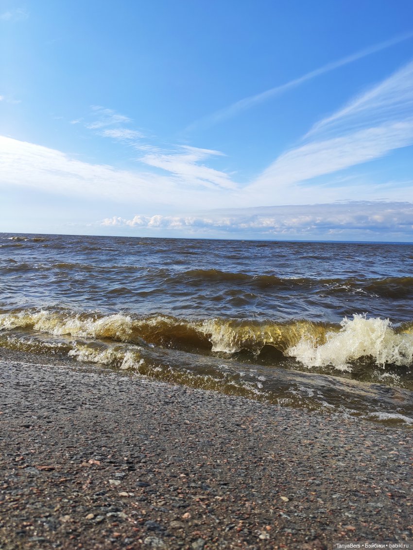 Остатки лета вместе с Булочкой с корицей (фото 9)