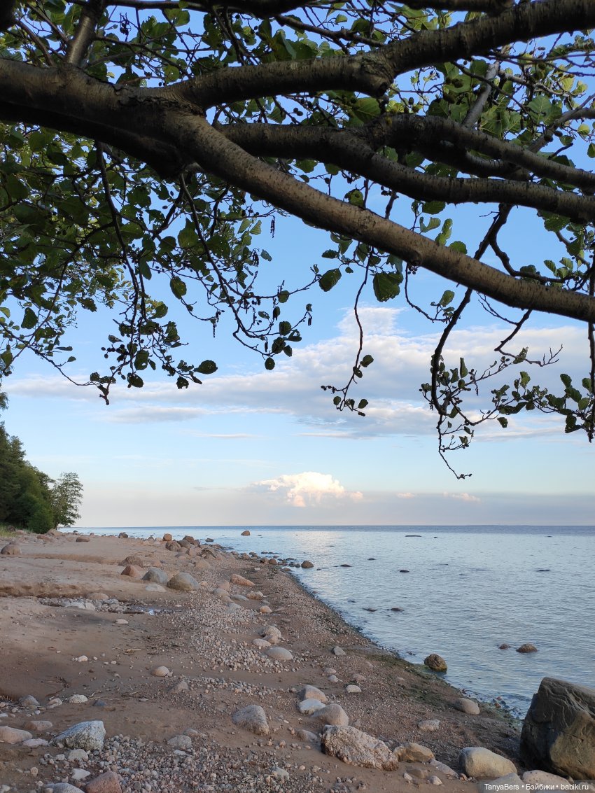 Остатки лета вместе с Булочкой с корицей