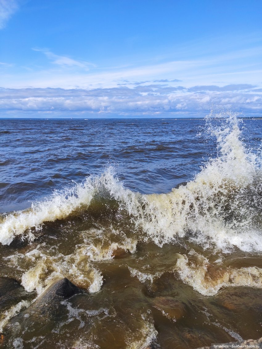 Остатки лета вместе с Булочкой с корицей (фото 7)