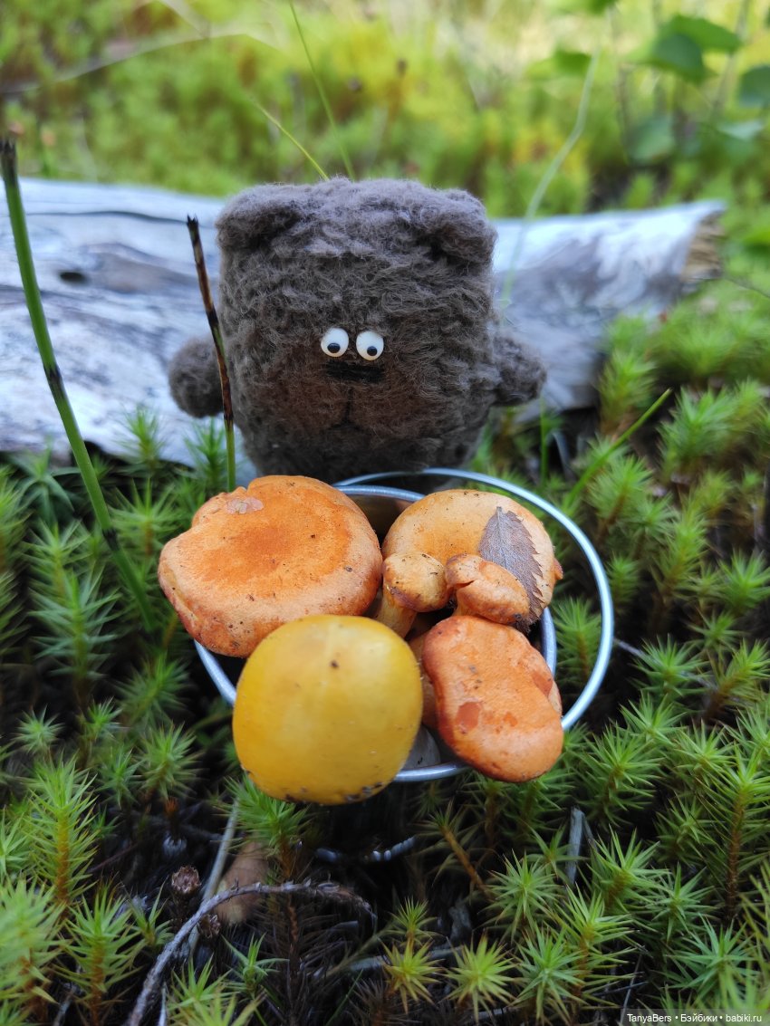 Остатки лета вместе с Булочкой с корицей