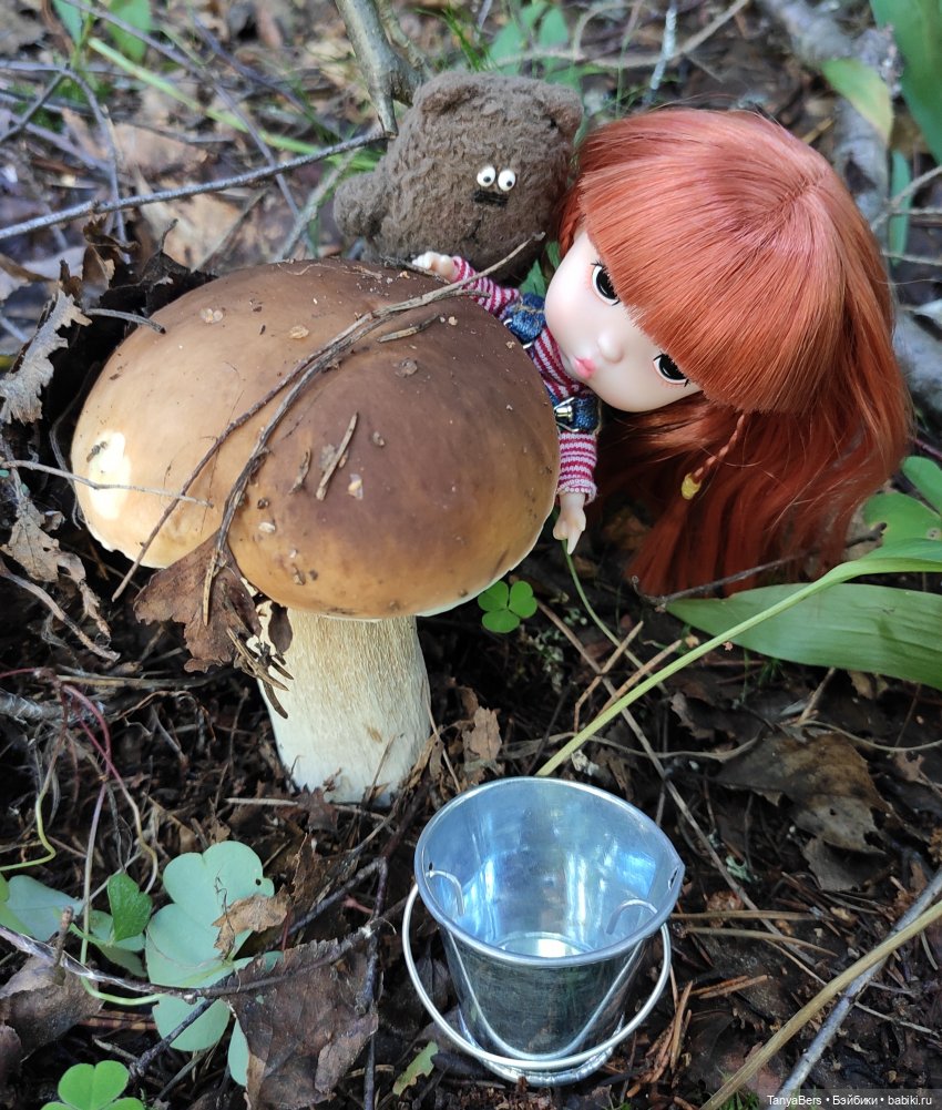 Остатки лета вместе с Булочкой с корицей