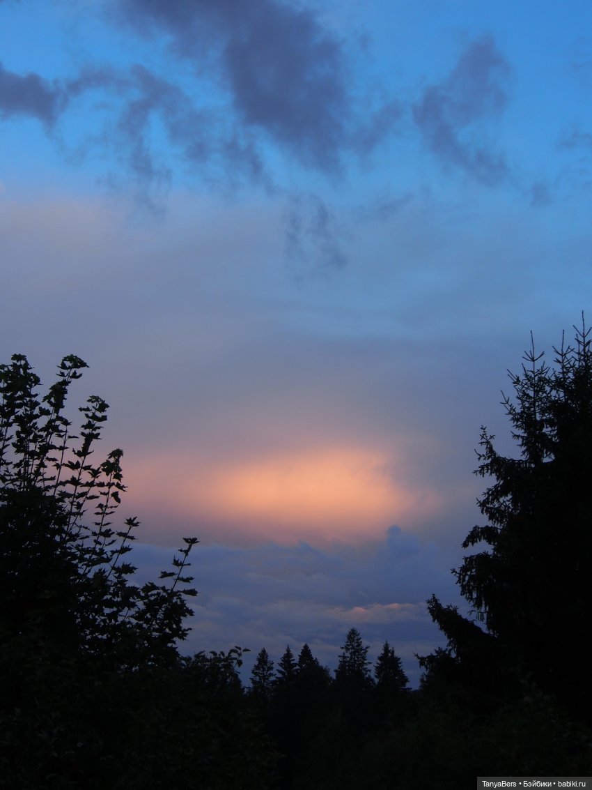 Лето в деревне — Зарисовки из кукольной жизни: фотоистории