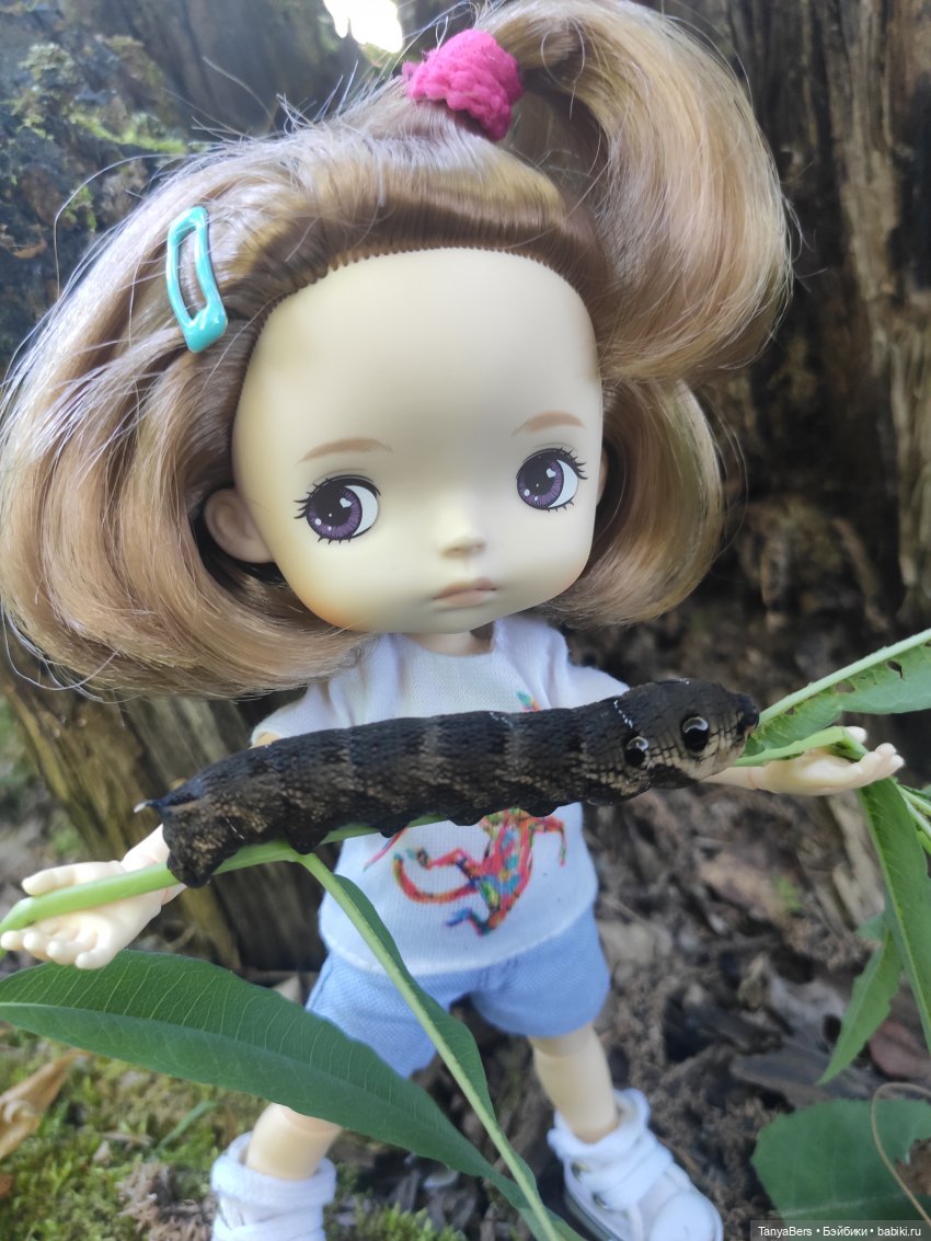 Как я провел этим летом: июнь, июль, август (фото 3)