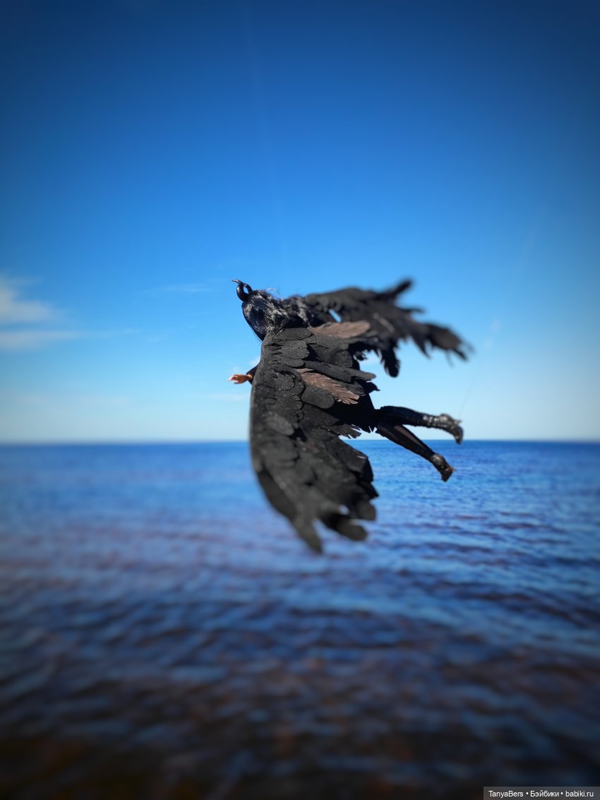 Как я провел этим летом: июнь, июль, август