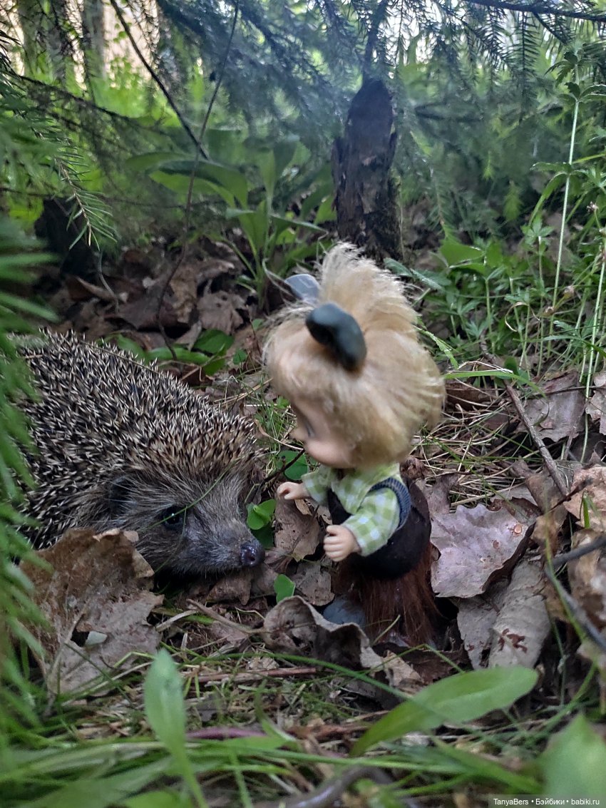 Как я провел этим летом: июнь, июль, август (фото 4)