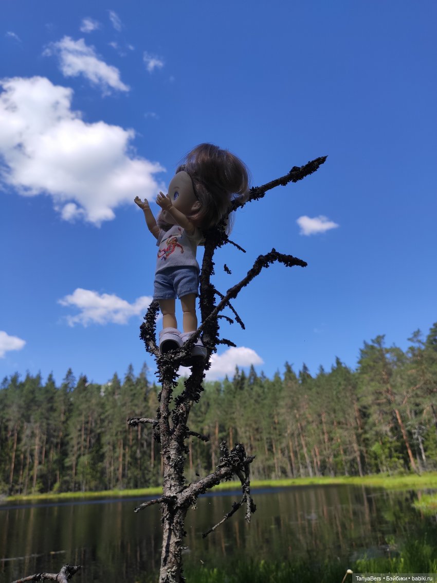 Как я провел этим летом: июнь, июль, август