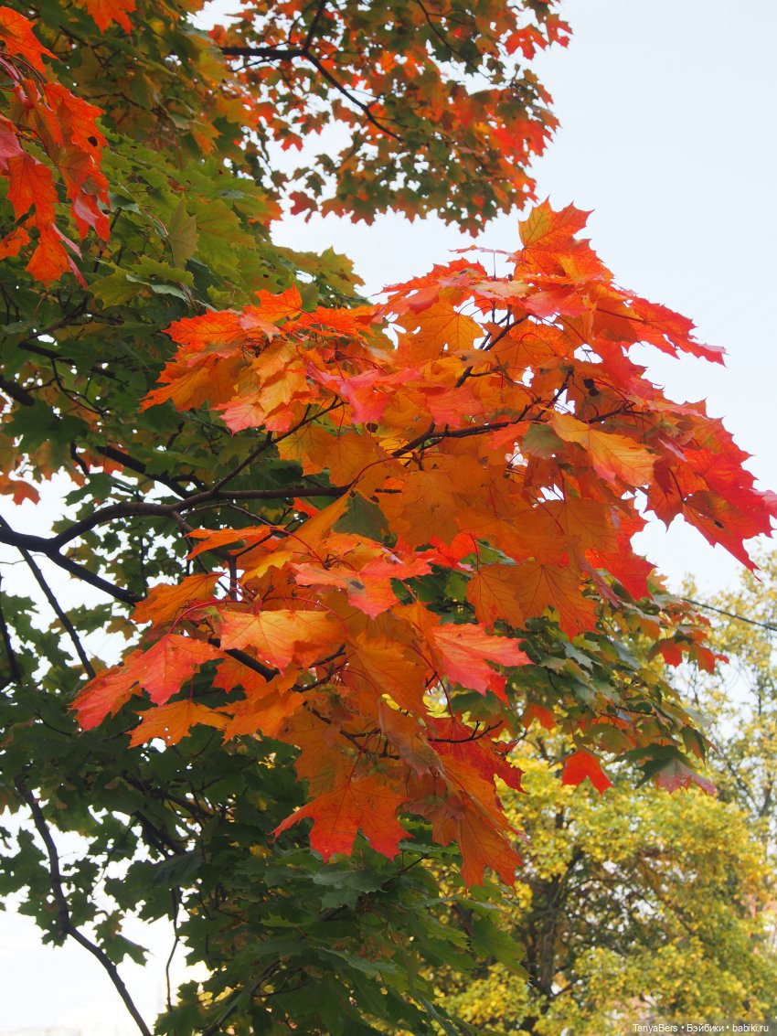 Друг...как много в этом слове