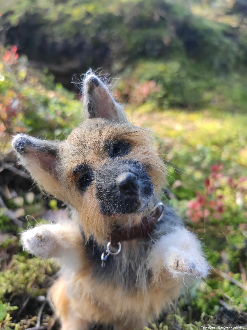 Друг...как много в этом слове (фото 8)