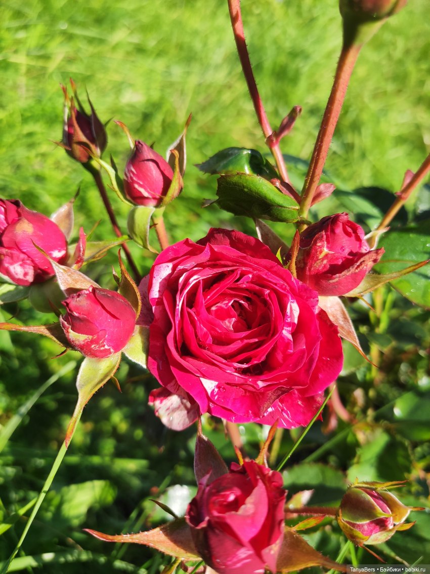 Друг...как много в этом слове (фото 4)