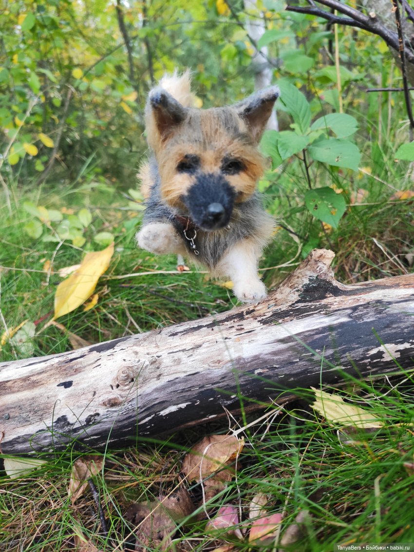 Друг...как много в этом слове (фото 6)
