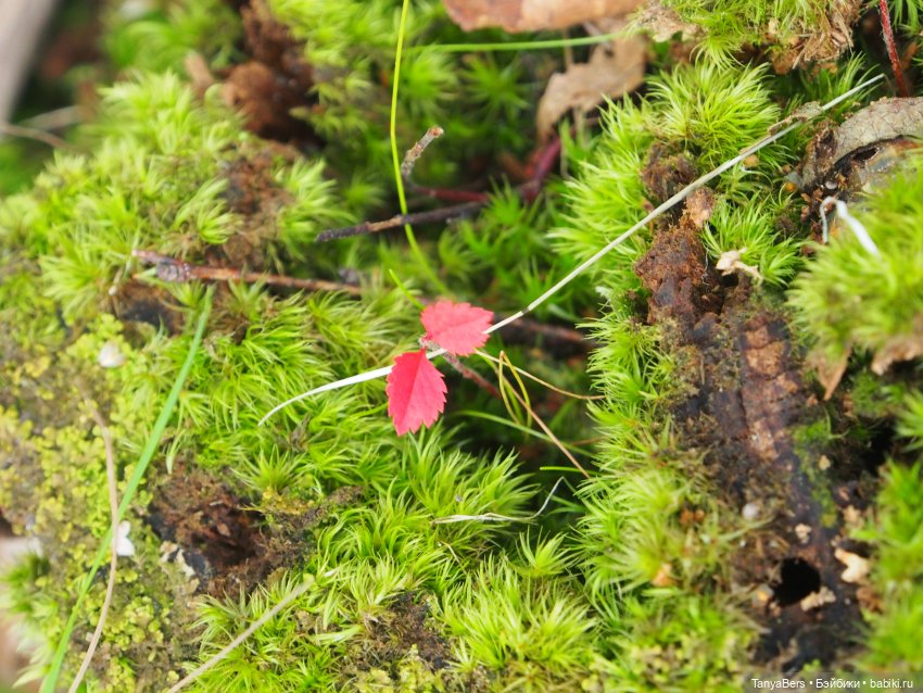 Друг...как много в этом слове