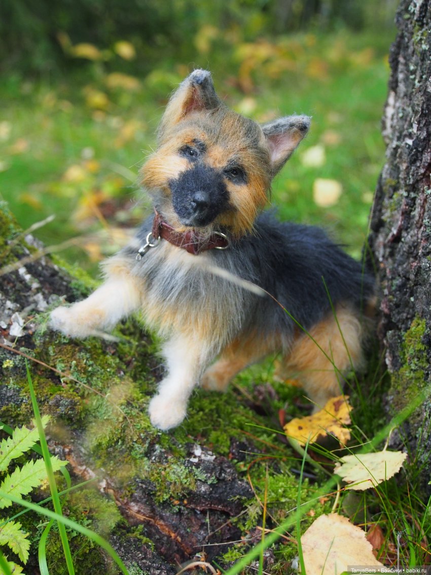 Друг...как много в этом слове (фото 7)