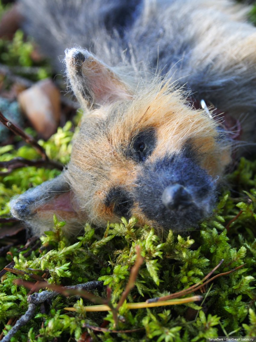 Друг...как много в этом слове (фото 10)