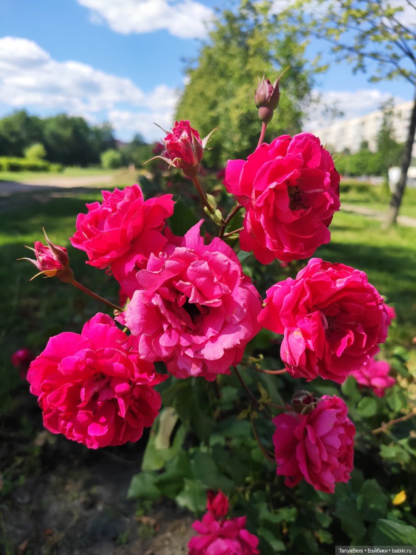 Друг...как много в этом слове