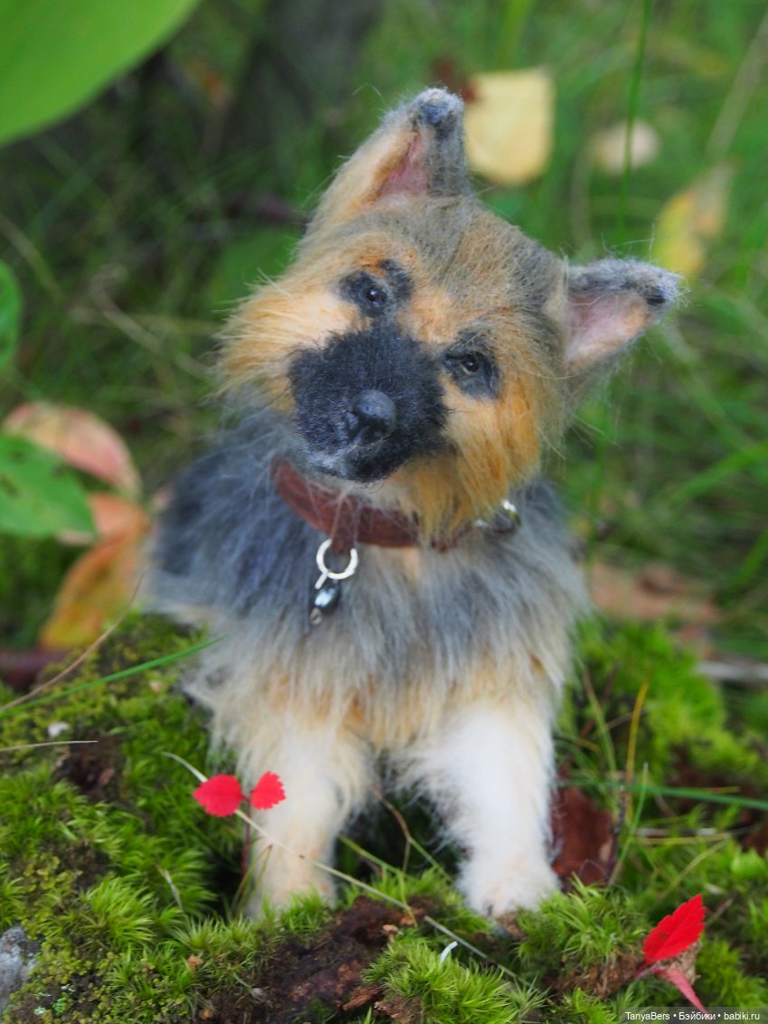 Друг...как много в этом слове (фото 9)