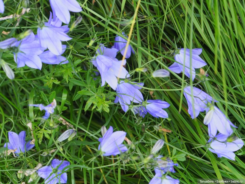 Друг...как много в этом слове