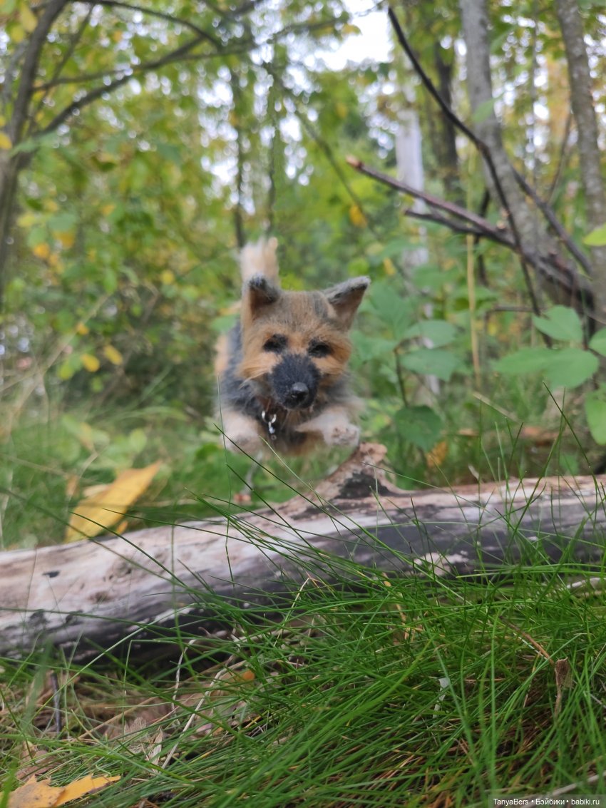 Друг...как много в этом слове (фото 5)