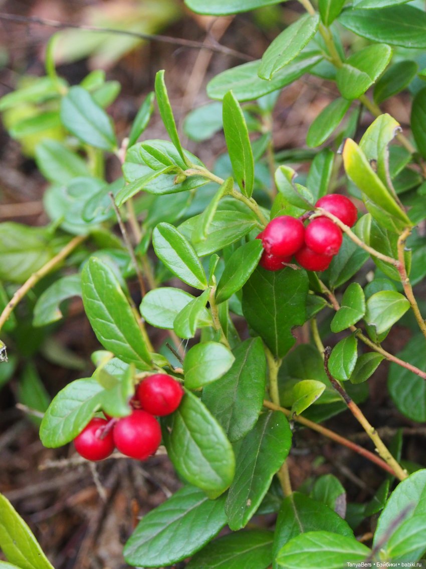 Друг...как много в этом слове