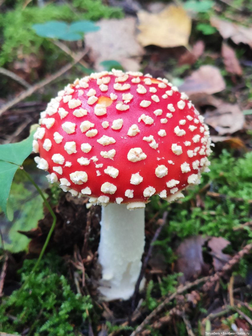 Друг...как много в этом слове