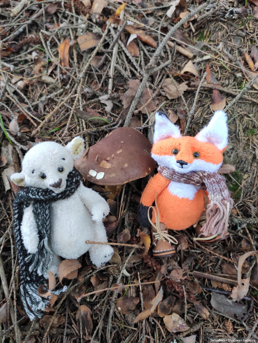 В поисках сказки | Бэйбики В поисках сказки — Домашние фото авторских игрушек: Тедди