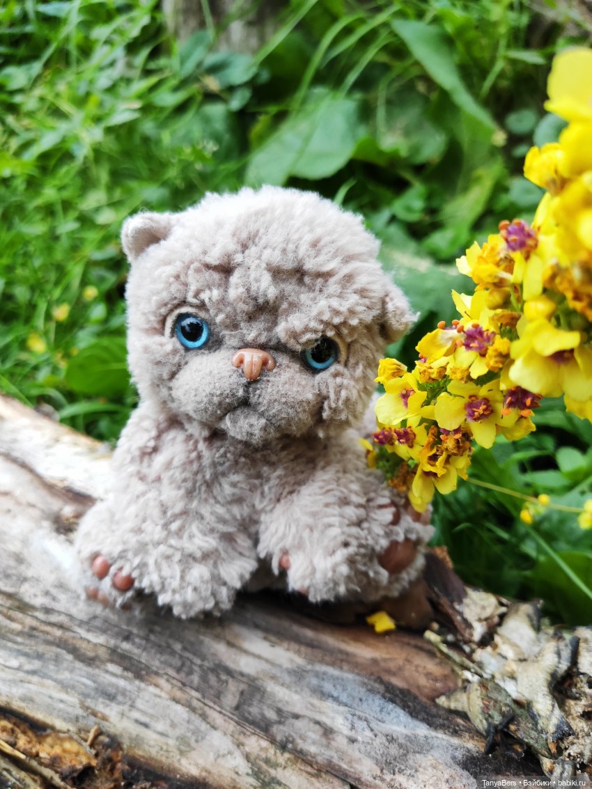 В поисках сказки | Бэйбики В поисках сказки — Домашние фото авторских игрушек: Тедди