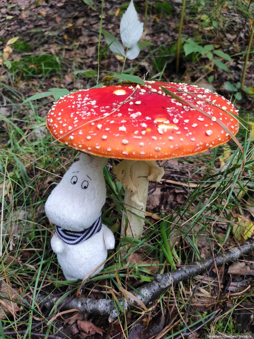 В поисках сказки | Бэйбики В поисках сказки — Домашние фото авторских игрушек: Тедди