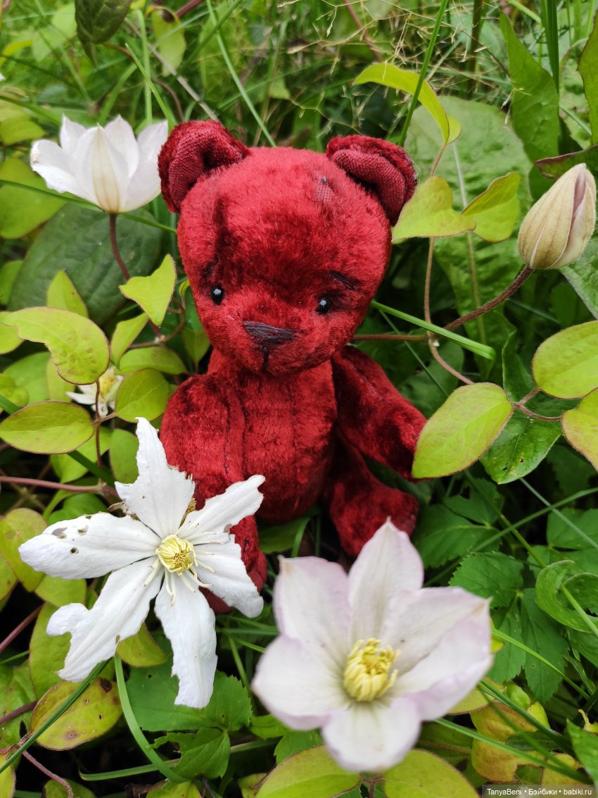 В поисках сказки | Бэйбики В поисках сказки — Домашние фото авторских игрушек: Тедди