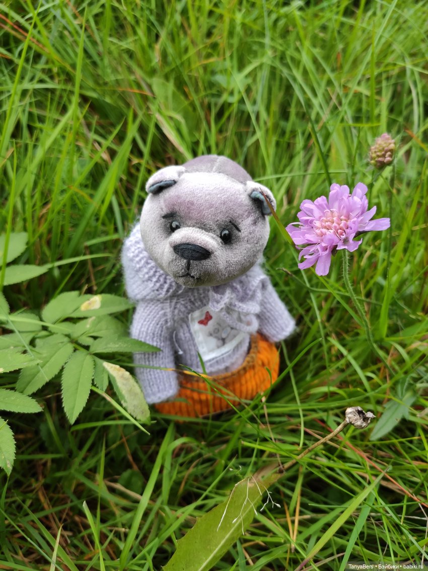 В поисках сказки | Бэйбики В поисках сказки — Домашние фото авторских игрушек: Тедди