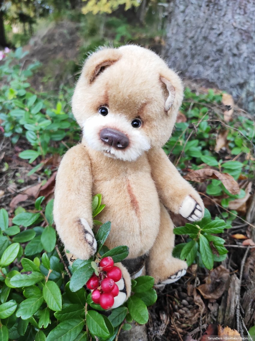 В поисках сказки | Бэйбики В поисках сказки — Домашние фото авторских игрушек: Тедди