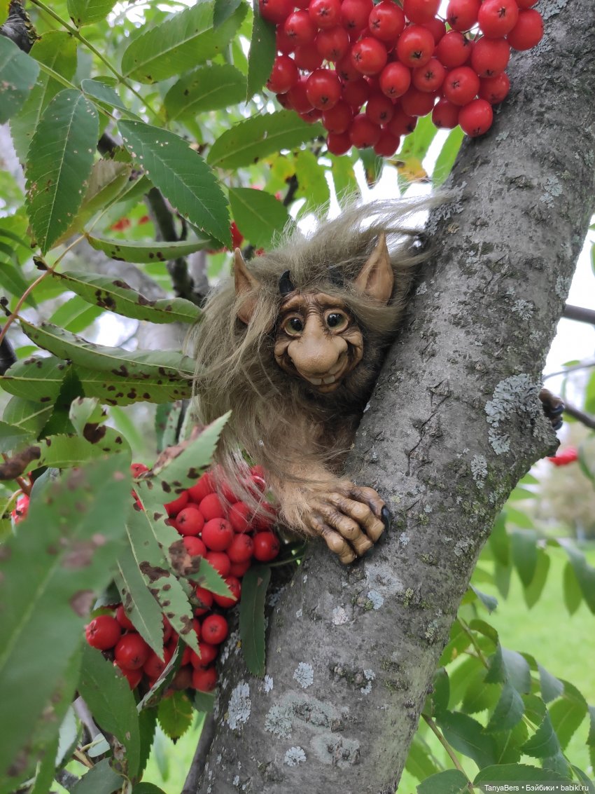 В поисках сказки | Бэйбики В поисках сказки — Домашние фото авторских игрушек: Тедди