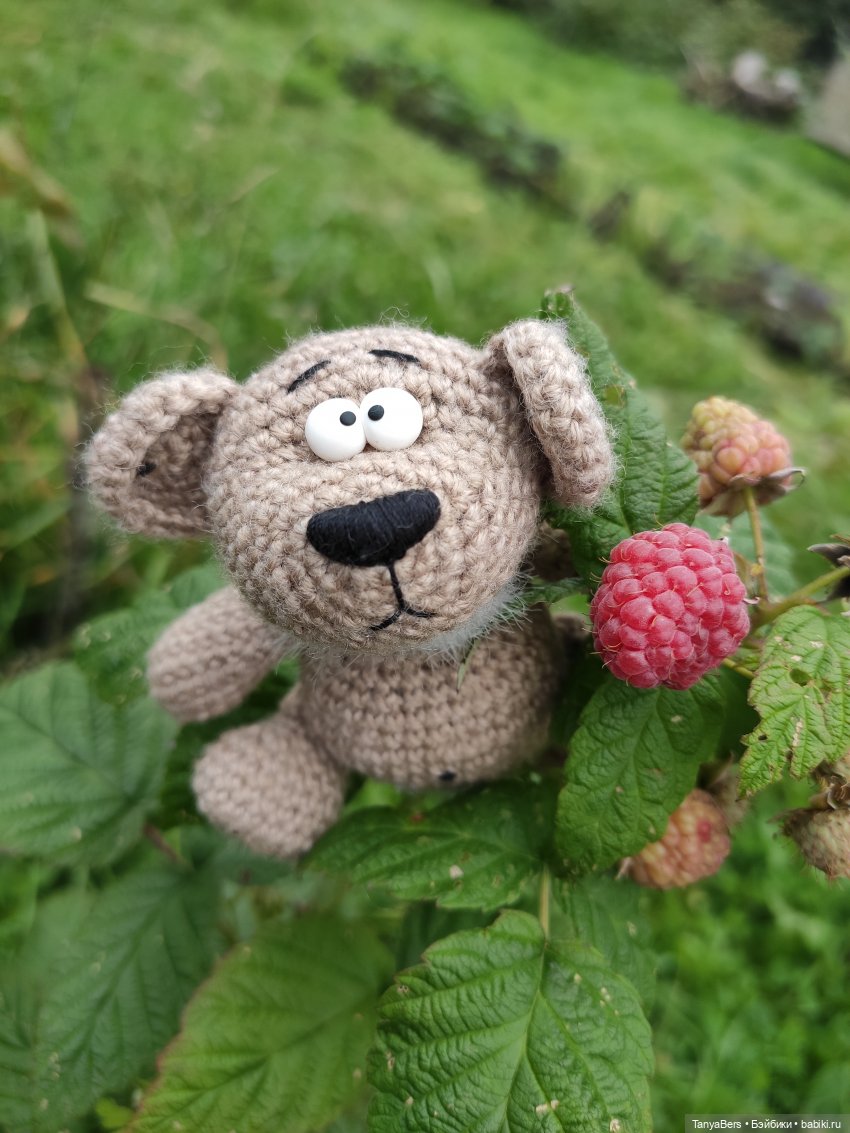 В поисках сказки | Бэйбики В поисках сказки — Домашние фото авторских игрушек: Тедди