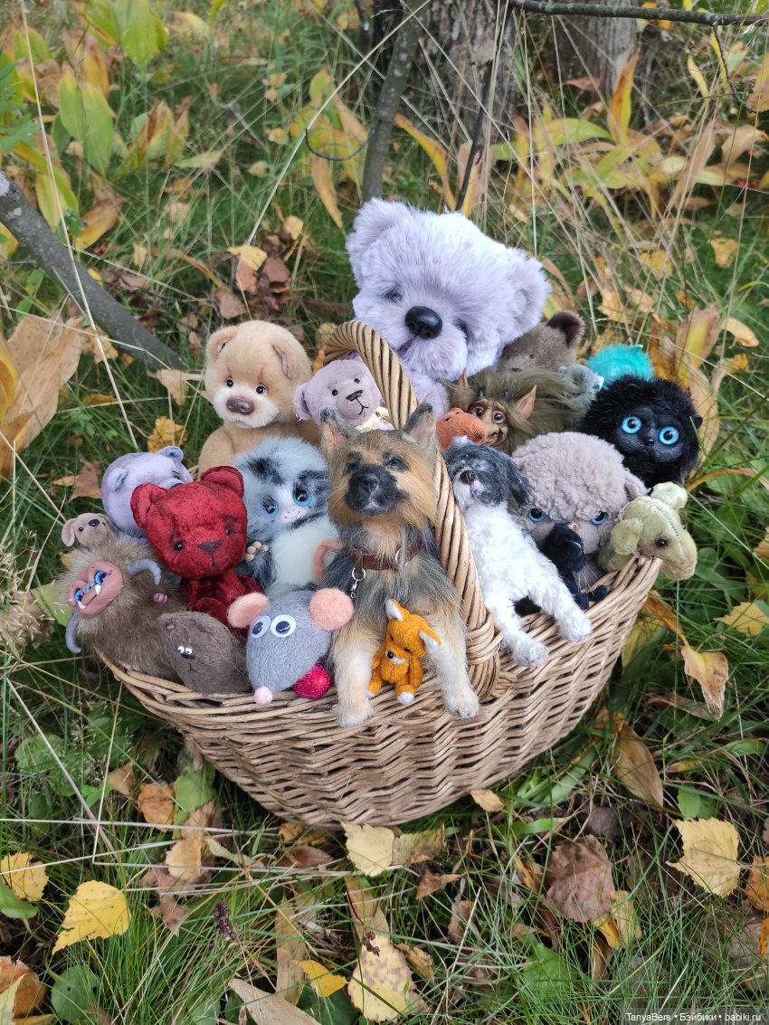 В поисках сказки | Бэйбики В поисках сказки — Домашние фото авторских игрушек: Тедди