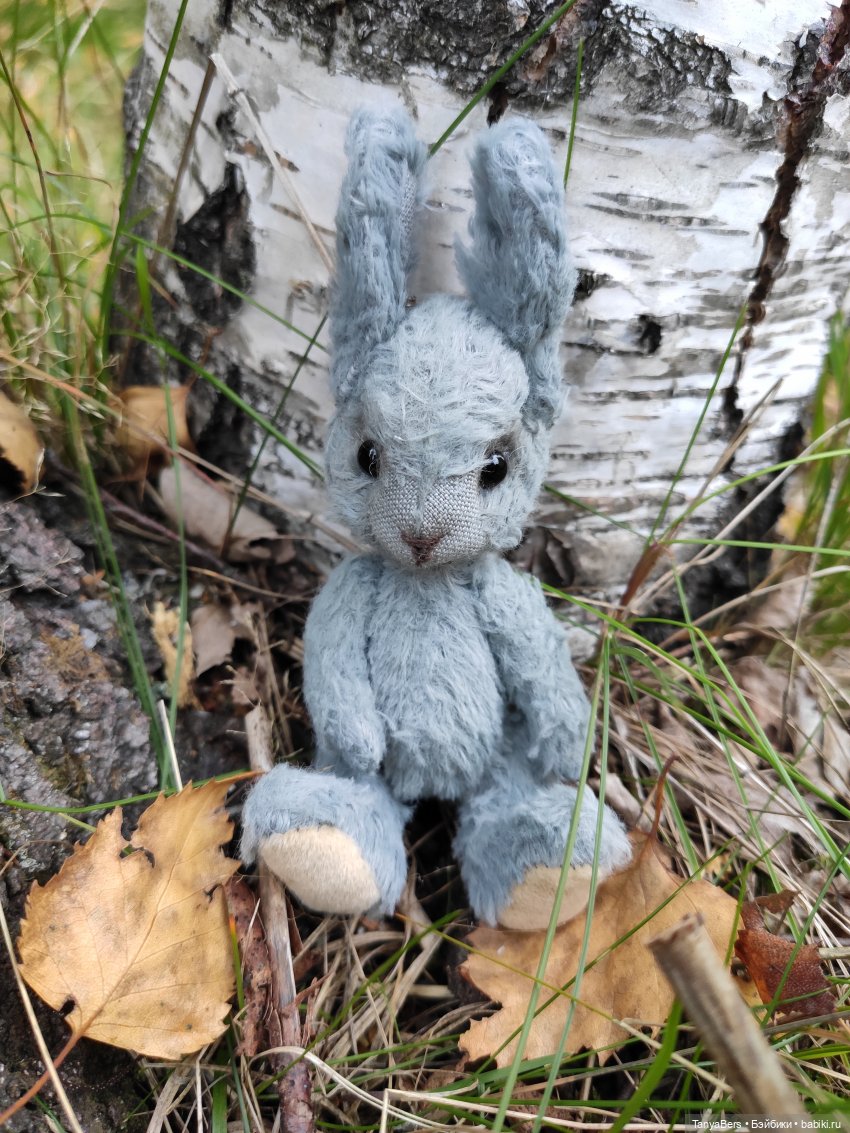 В поисках сказки | Бэйбики В поисках сказки — Домашние фото авторских игрушек: Тедди