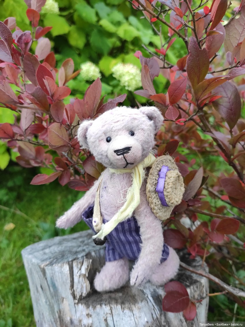 В поисках сказки | Бэйбики В поисках сказки — Домашние фото авторских игрушек: Тедди